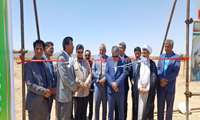 افتتاح بزرگترین باغ گردو رقم چندلر(کشت بافت و پیوندی( در شهرستان بافت در ششمین روز از هفته دولت
